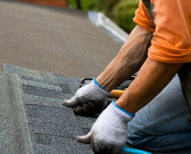 Best Metal Roofing Contractor  in Charlotte Hall, MD